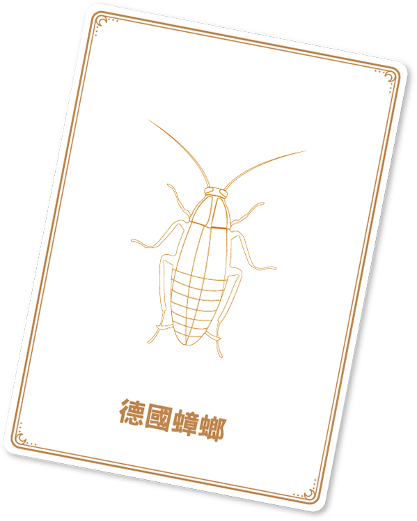 left-cockroach