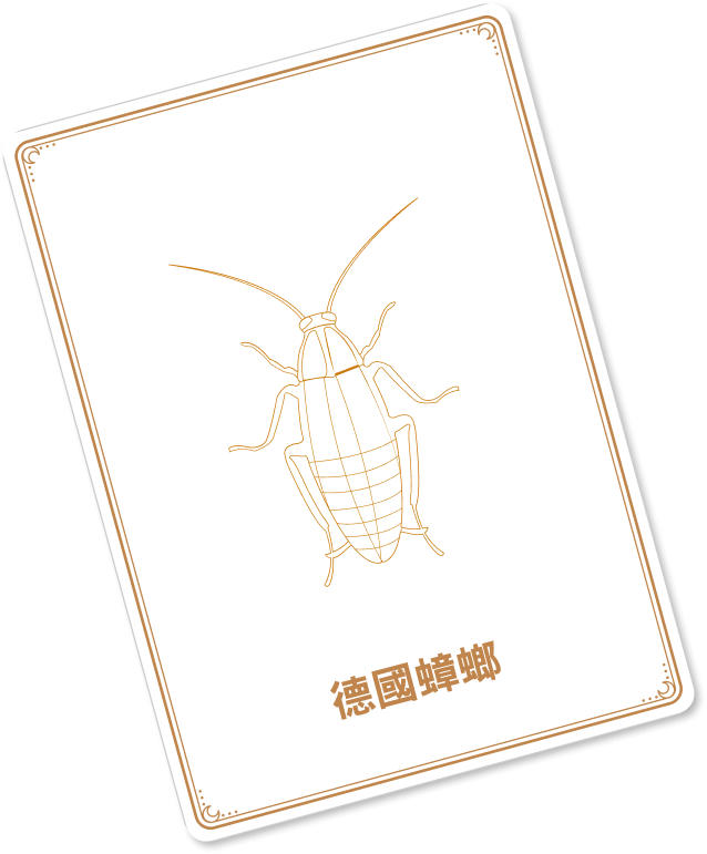left-cockroach